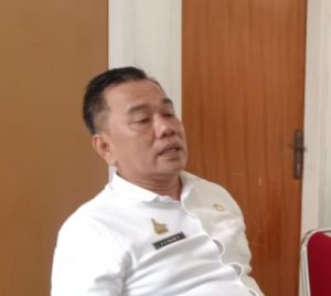 Tebang Pohon Tanpa Koordinasi Banyak LPJU Rusak Di PolMan